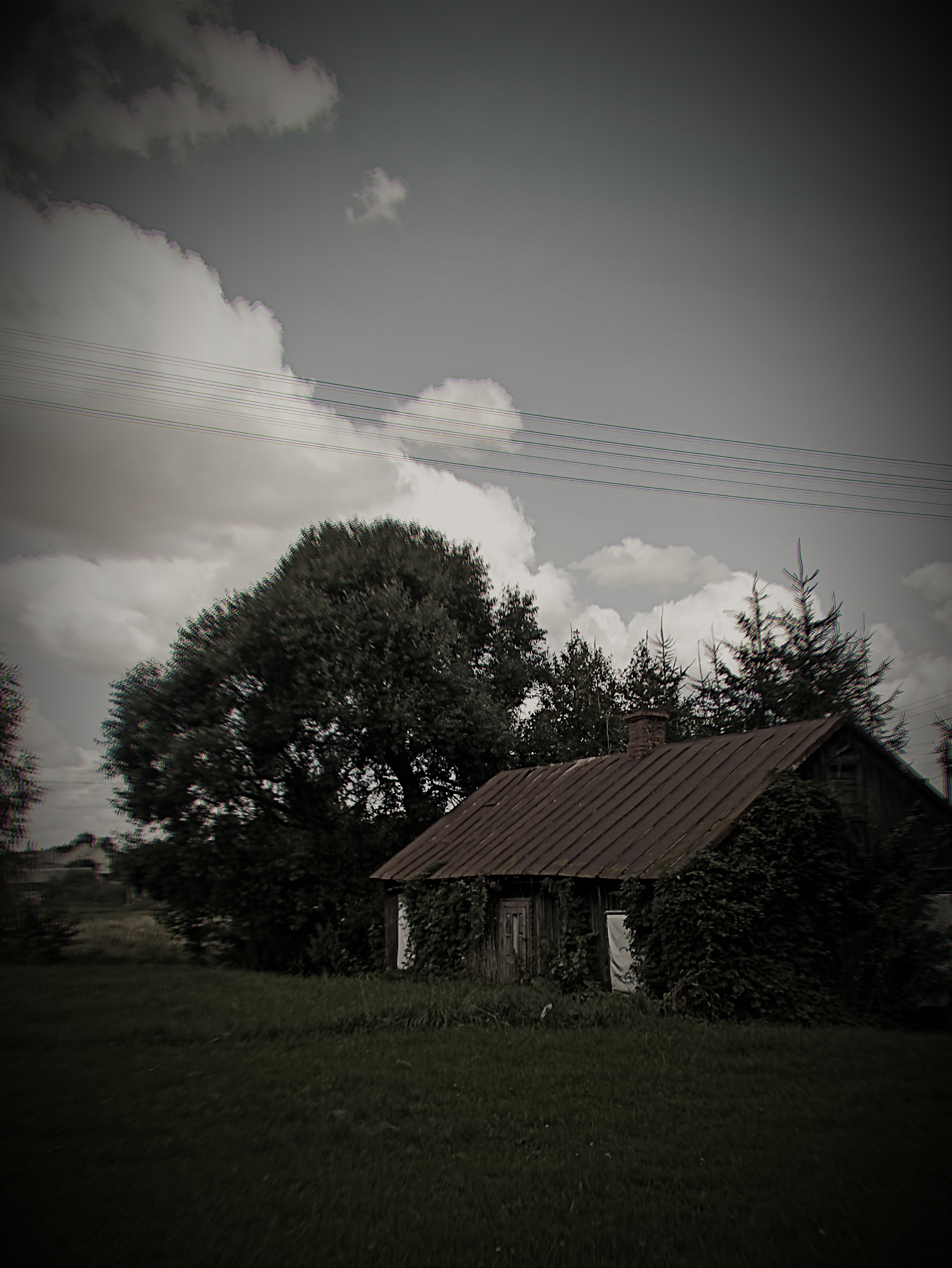 Rustic Cabin